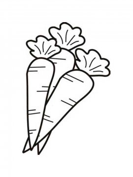 Раскраска Морковка 30 - Бесплатно распечатать
