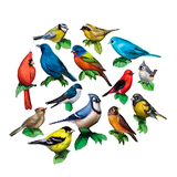Раскраски птицы