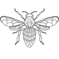 Раскраски Пчела Aнтистресс