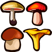 Раскраски Съедобные грибы