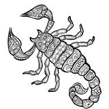 Раскраски Скорпион антистресс