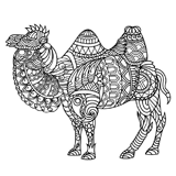 Раскраски Верблюд антистресс