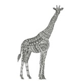 Раскраски Жираф антистресс