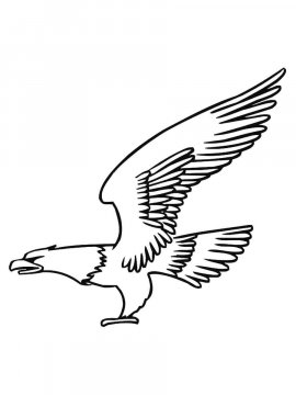 Раскраска Белоголовый Орлан 12 - Бесплатно распечатать
