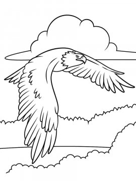 Раскраска Белоголовый Орлан 13 - Бесплатно распечатать