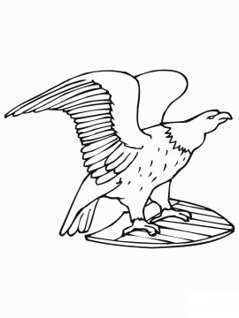 Раскраска Белоголовый Орлан 24 - Бесплатно распечатать