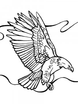 Раскраска Белоголовый Орлан 25 - Бесплатно распечатать