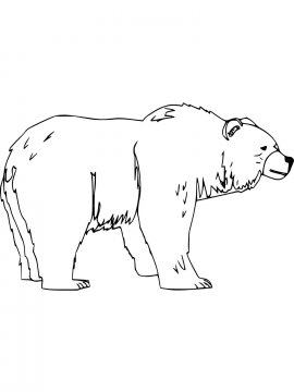 Раскраска Бурый Медведь 13 - Бесплатно распечатать
