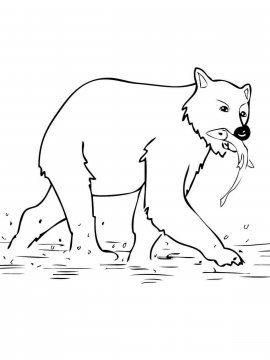 Раскраска Бурый Медведь 15 - Бесплатно распечатать