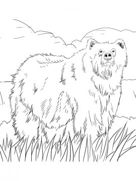 Раскраска Бурый Медведь 4 - Бесплатно распечатать