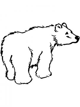 Раскраска Бурый Медведь 5 - Бесплатно распечатать