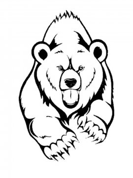 Раскраска Бурый Медведь 8 - Бесплатно распечатать
