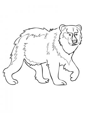 Раскраска Бурый Медведь 9 - Бесплатно распечатать