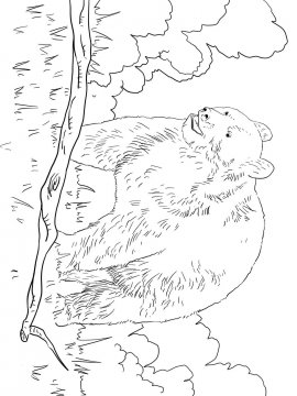 Раскраска Черный Медведь 11 - Бесплатно распечатать