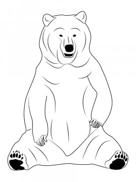 Раскраска Черный Медведь 12 - Бесплатно распечатать