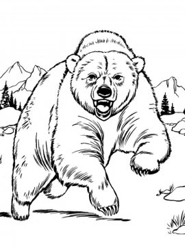 Раскраска Черный Медведь 13 - Бесплатно распечатать