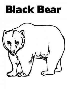 Раскраска Черный Медведь 2 - Бесплатно распечатать