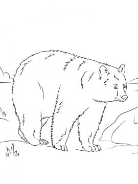 Раскраска Черный Медведь 6 - Бесплатно распечатать