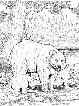 Раскраска Черный Медведь 7 - Бесплатно распечатать