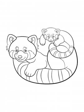 Раскраска Красная Панда 1 - Бесплатно распечатать