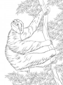 Раскраска Ленивец 10 - Бесплатно распечатать