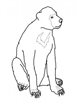 Раскраска Малайский Медведь 1 - Бесплатно распечатать