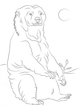 Раскраска Малайский Медведь 2 - Бесплатно распечатать