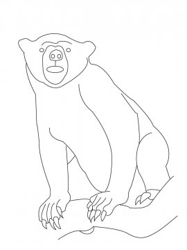 Раскраска Малайский Медведь 5 - Бесплатно распечатать