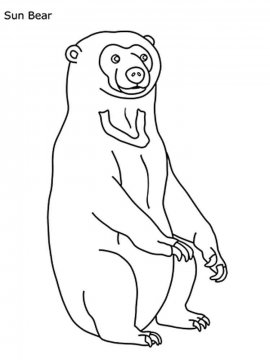 Раскраска Малайский Медведь 6 - Бесплатно распечатать