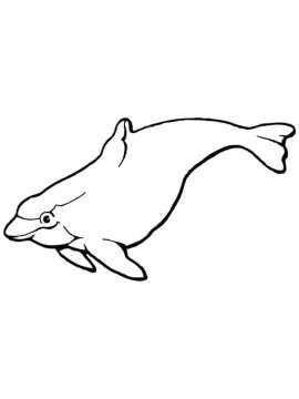 Раскраска Морская Свинья 8 - Бесплатно распечатать