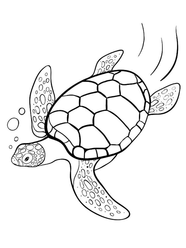 Раскраски Морская черепаха. 