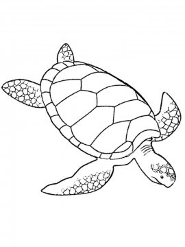 Раскраска Морская Черепаха 16 - Бесплатно распечатать
