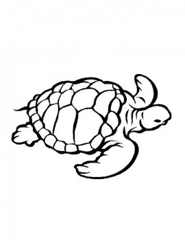 Раскраска Морская Черепаха 19 - Бесплатно распечатать