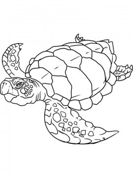 Раскраска Морская Черепаха 7 - Бесплатно распечатать