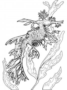 Раскраска Морской Дракон 7 - Бесплатно распечатать