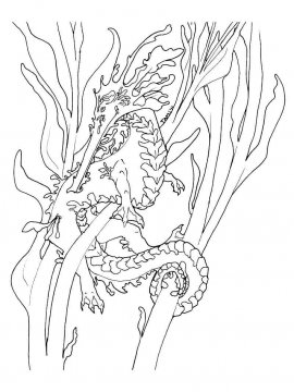 Раскраска Морской Дракон 9 - Бесплатно распечатать