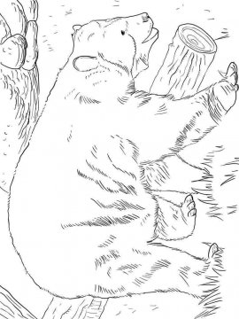 Раскраска Очковый медведь 3 - Бесплатно распечатать