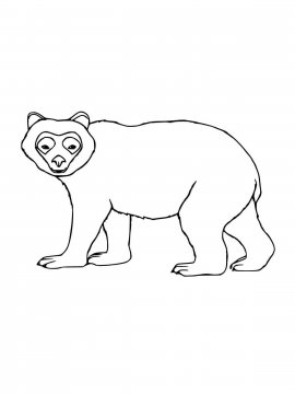 Раскраска Очковый медведь 6 - Бесплатно распечатать