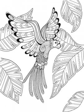 Раскраска Райская птица 15 - Бесплатно распечатать