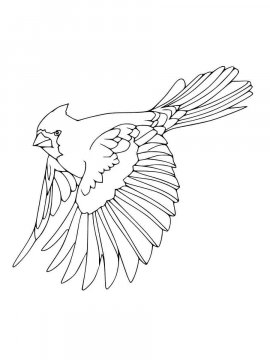 Раскраска Райская птица 16 - Бесплатно распечатать