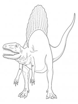 Раскраска Спинозавр 13 - Бесплатно распечатать