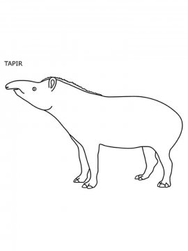 Раскраска Тапир 18 - Бесплатно распечатать