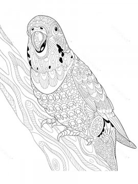 Раскраска Волнистый попугай 3 - Бесплатно распечатать