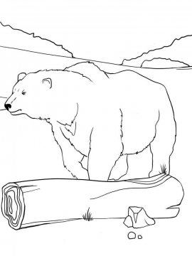Раскраска Белый Медведь 14 - Бесплатно распечатать