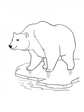 Раскраска Белый Медведь 16 - Бесплатно распечатать