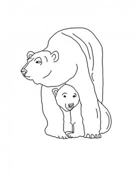 Раскраска Белый Медведь 18 - Бесплатно распечатать