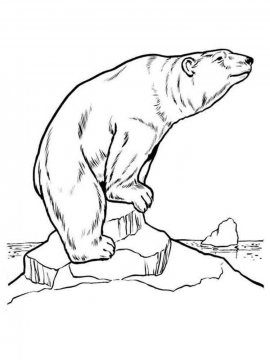 Раскраска Белый Медведь 10 - Бесплатно распечатать