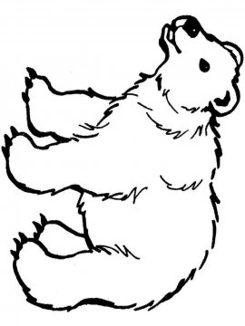 Раскраска Белый Медведь 4 - Бесплатно распечатать