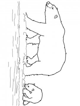 Раскраска Белый Медведь 6 - Бесплатно распечатать