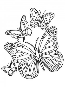 Раскраска Бабочка 1 - Бесплатно распечатать